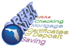 fl map icon and credit union services
