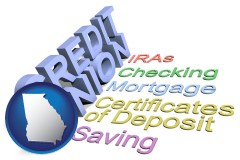 ga map icon and credit union services