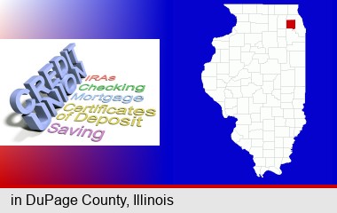 credit union services; DuPage County highlighted in red on a map