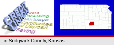 credit union services; Sedgwick County highlighted in red on a map